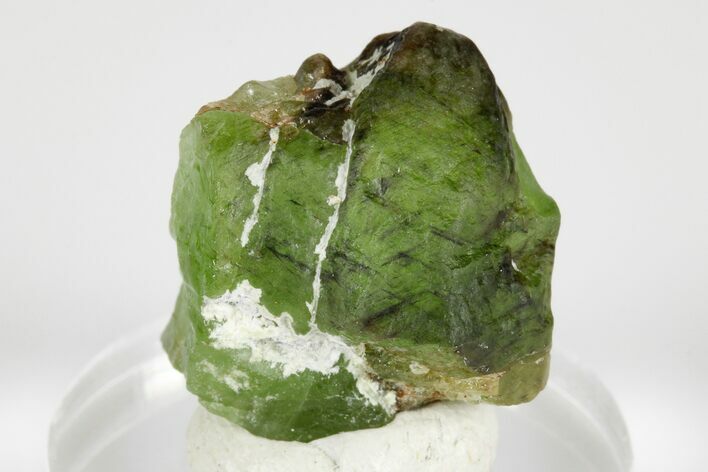 Olivine Peridot Crystal with Ludwigite Inclusions - Pakistan #183945